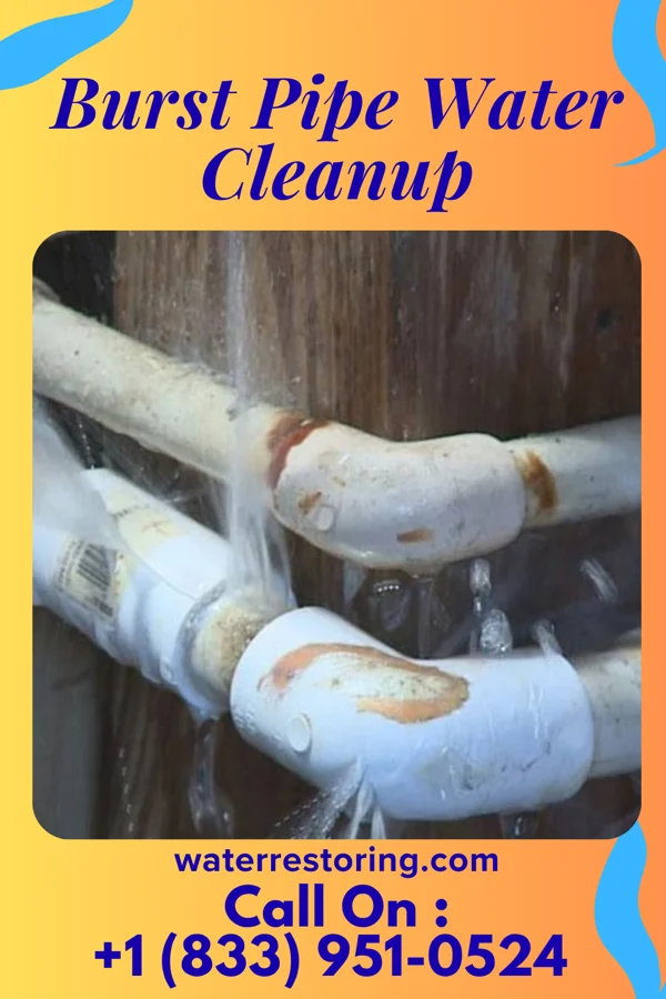 Burst Pipe Water Cleanup in West Middlesex, PA