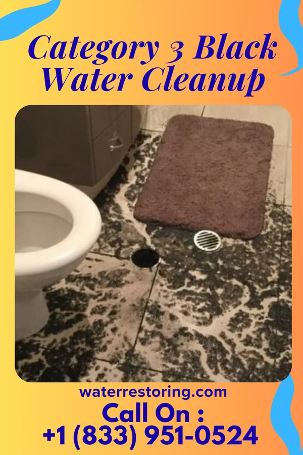 Category 3 Black Water Cleanup in West Middlesex, PA