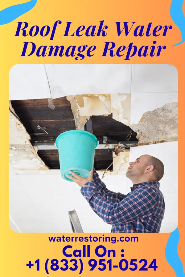 Roof Leak Water Damage Repair in West Middlesex, PA