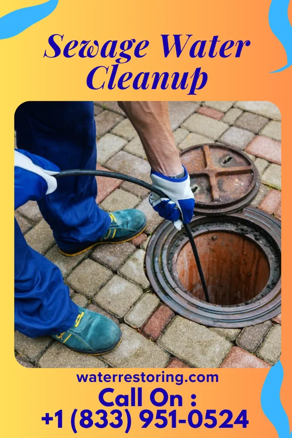 Sewage Water Cleanup in West Middlesex, PA