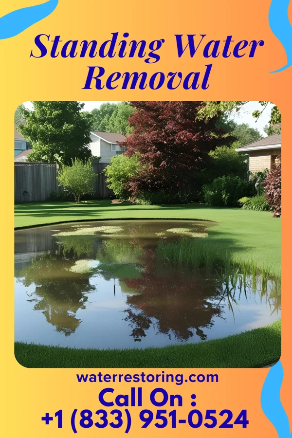Standing Water Removal in West Middlesex, PA